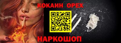 индика Можга
