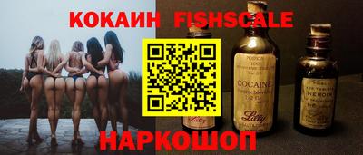 индика Можга