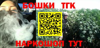 индика Можга