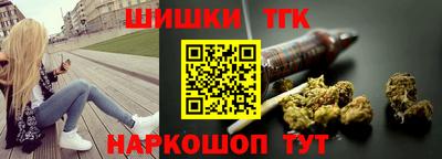 индика Можга