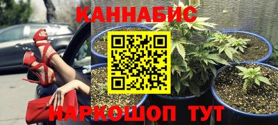 индика Можга
