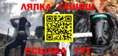индика Можга