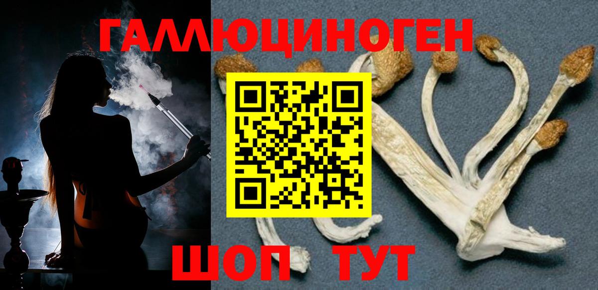 Псилоцибиновые грибы прущие грибы Ступино