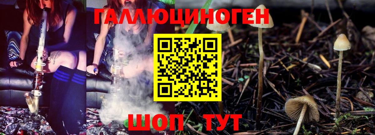 Псилоцибиновые грибы GOLDEN TEACHER  Вход с VPN  Ступино 